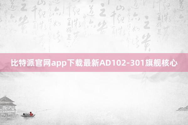 比特派官网app下载最新AD102-301旗舰核心