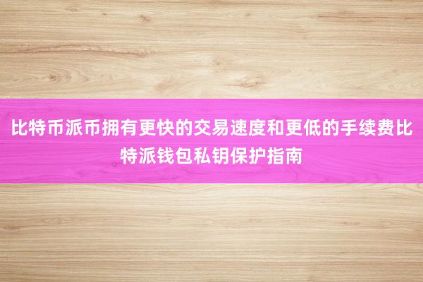 比特币派币拥有更快的交易速度和更低的手续费比特派钱包私钥保护指南