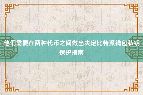 他们需要在两种代币之间做出决定比特派钱包私钥保护指南