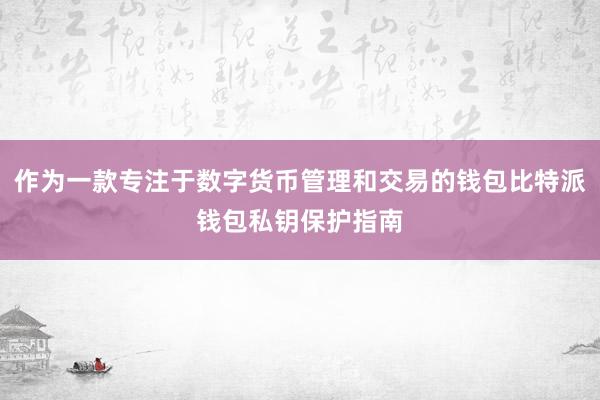 作为一款专注于数字货币管理和交易的钱包比特派钱包私钥保护指南