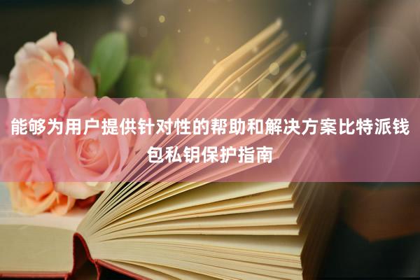 能够为用户提供针对性的帮助和解决方案比特派钱包私钥保护指南