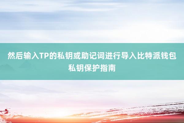 然后输入TP的私钥或助记词进行导入比特派钱包私钥保护指南