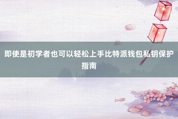 即使是初学者也可以轻松上手比特派钱包私钥保护指南