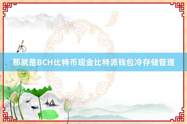 那就是BCH比特币现金比特派钱包冷存储管理