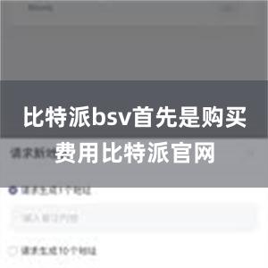 比特派bsv首先是购买费用比特派官网