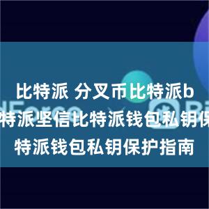 比特派 分叉币比特派bitpie比特派坚信比特派钱包私钥保护指南