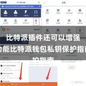 比特派插件还可以增强功能比特派钱包私钥保护指南